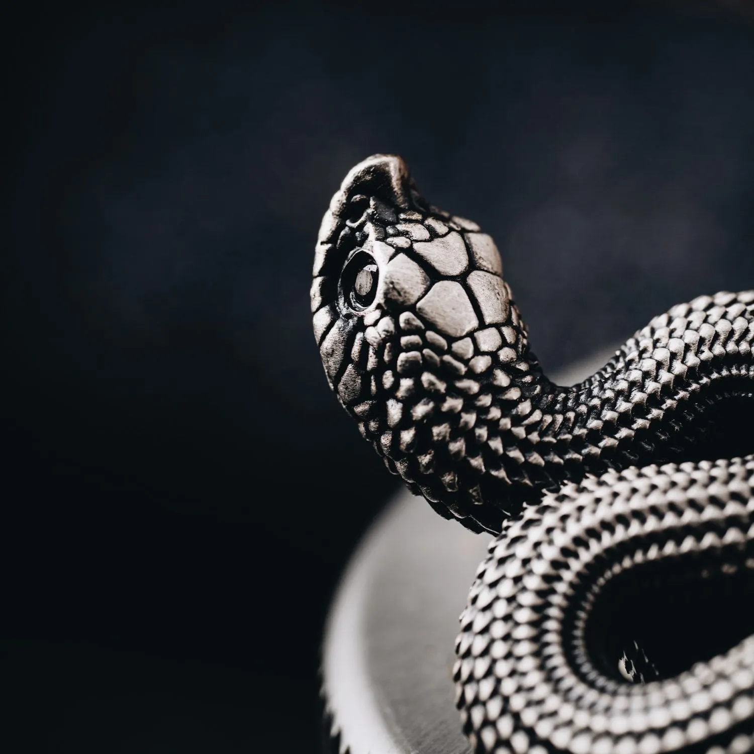 Hognose Snake Brooch