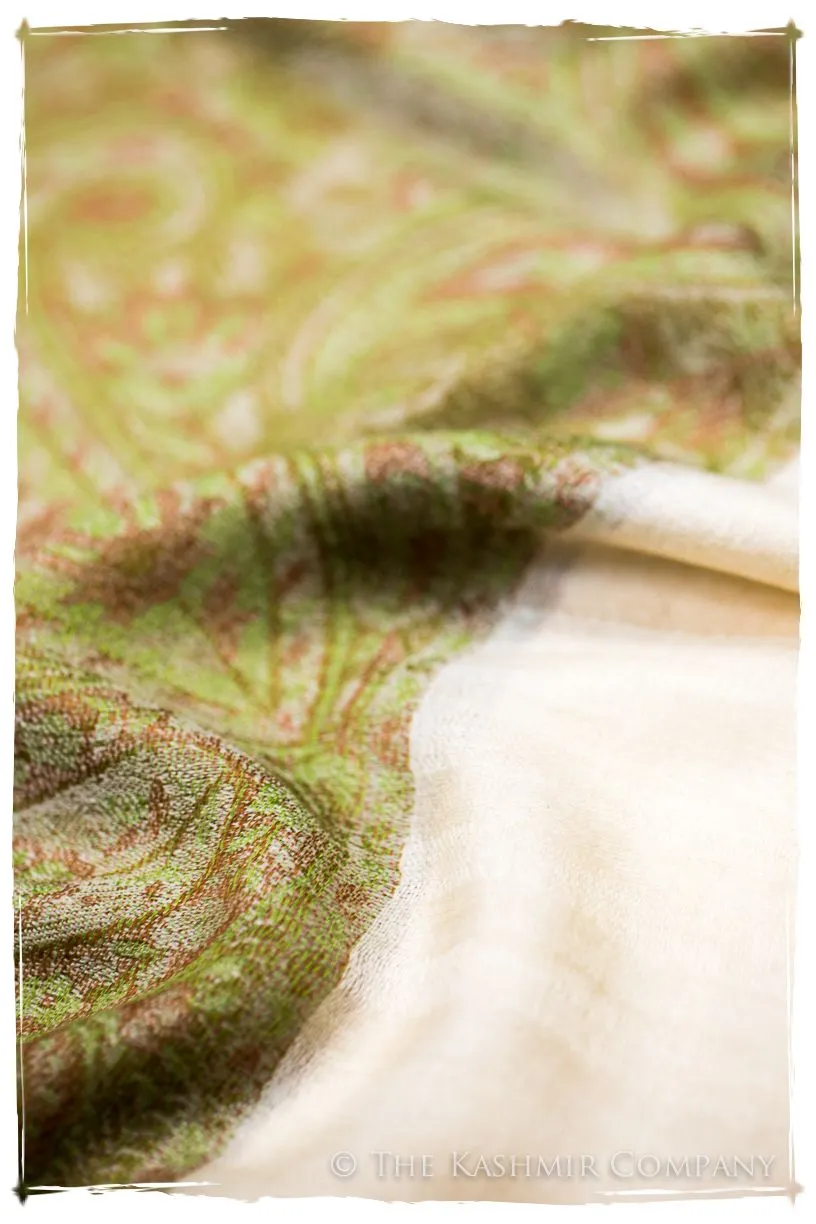Nezha Paisley Frontière Pashmina Cashmere Scarf